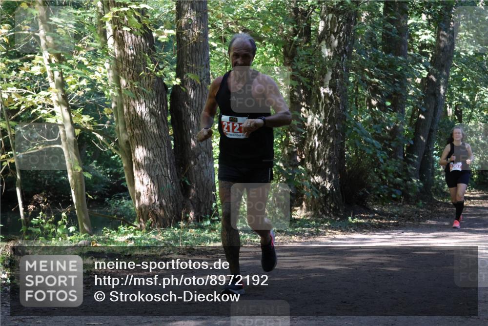 28.09.2025 - 33. Volkslauf durch das schöne Alstertal Strokosch-Dieckow http://msf.ph/oto/8972192 28.09.2025 12:31:16 Laufen 2121, 2367 meine-sportfotos.de
