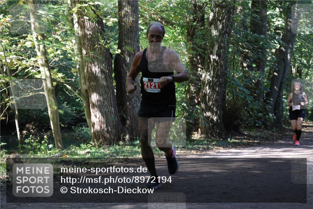 28.09.2025 - 33. Volkslauf durch das schöne Alstertal Strokosch-Dieckow http://msf.ph/oto/8972194 28.09.2025 12:31:16 Laufen 2121, 2367 meine-sportfotos.de