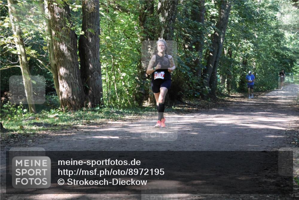 28.09.2025 - 33. Volkslauf durch das schöne Alstertal Strokosch-Dieckow http://msf.ph/oto/8972195 28.09.2025 12:31:19 Laufen 2367 meine-sportfotos.de