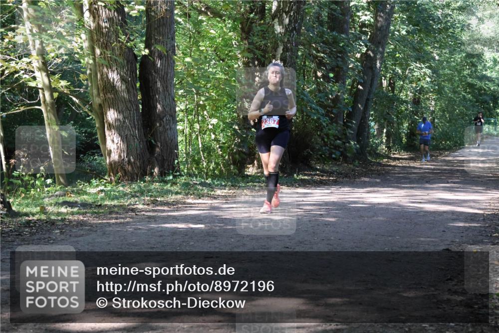 28.09.2025 - 33. Volkslauf durch das schöne Alstertal Strokosch-Dieckow http://msf.ph/oto/8972196 28.09.2025 12:31:19 Laufen 2367 meine-sportfotos.de