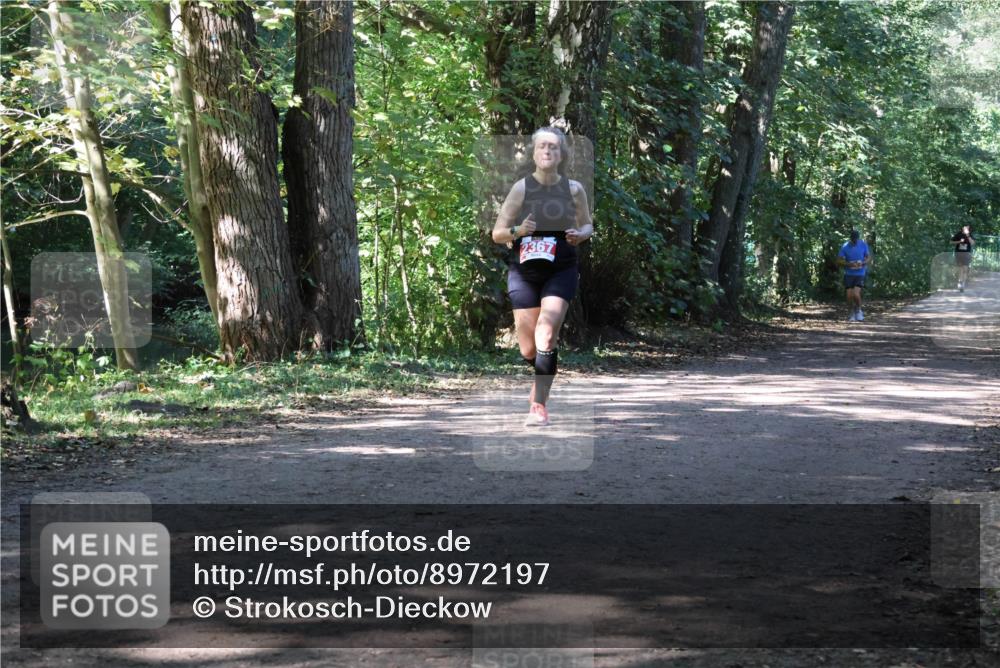 28.09.2025 - 33. Volkslauf durch das schöne Alstertal Strokosch-Dieckow http://msf.ph/oto/8972197 28.09.2025 12:31:19 Laufen 2367 meine-sportfotos.de