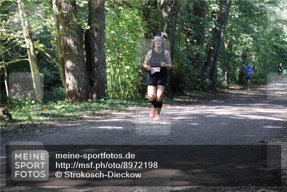 28.09.2025 - 33. Volkslauf durch das schöne Alstertal Strokosch-Dieckow http://msf.ph/oto/8972198 28.09.2025 12:31:19 Laufen  meine-sportfotos.de