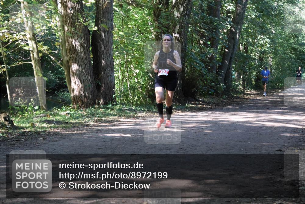 28.09.2025 - 33. Volkslauf durch das schöne Alstertal Strokosch-Dieckow http://msf.ph/oto/8972199 28.09.2025 12:31:19 Laufen 367 meine-sportfotos.de