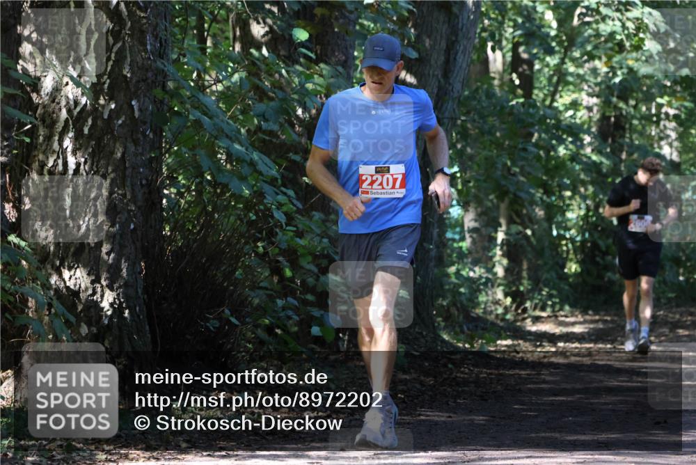 28.09.2025 - 33. Volkslauf durch das schöne Alstertal Strokosch-Dieckow http://msf.ph/oto/8972202 28.09.2025 12:31:29 Laufen 2207 meine-sportfotos.de