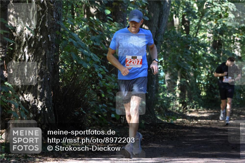 28.09.2025 - 33. Volkslauf durch das schöne Alstertal Strokosch-Dieckow http://msf.ph/oto/8972203 28.09.2025 12:31:29 Laufen 2207 meine-sportfotos.de