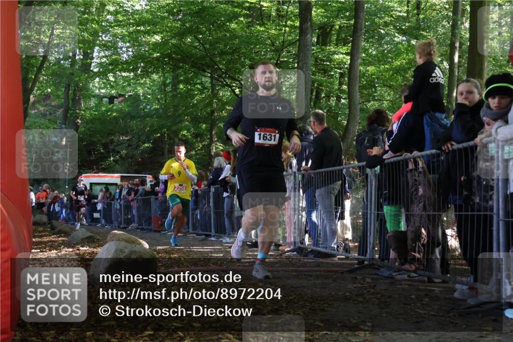 28.09.2025 - 33. Volkslauf durch das schöne Alstertal Strokosch-Dieckow http://msf.ph/oto/8972204 28.09.2025 11:54:56 Ziel 1631, 2161, 2258, 2406 meine-sportfotos.de