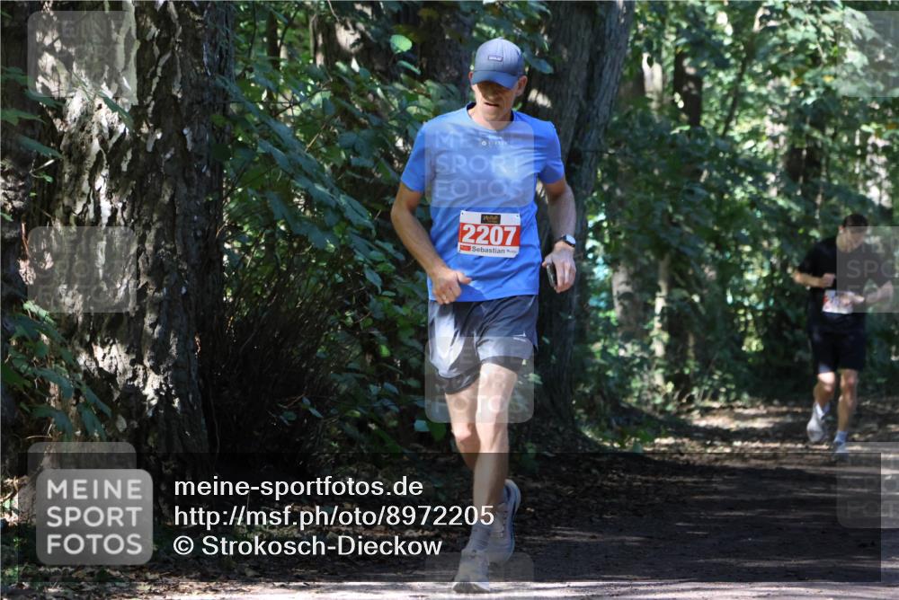 28.09.2025 - 33. Volkslauf durch das schöne Alstertal Strokosch-Dieckow http://msf.ph/oto/8972205 28.09.2025 12:31:29 Laufen 2207 meine-sportfotos.de