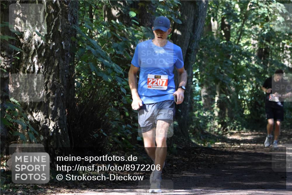 28.09.2025 - 33. Volkslauf durch das schöne Alstertal Strokosch-Dieckow http://msf.ph/oto/8972206 28.09.2025 12:31:29 Laufen 2207 meine-sportfotos.de