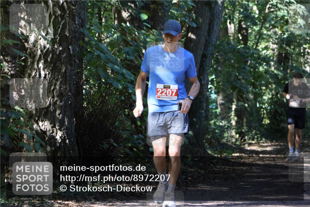 28.09.2025 - 33. Volkslauf durch das schöne Alstertal Strokosch-Dieckow http://msf.ph/oto/8972207 28.09.2025 12:31:29 Laufen 2207 meine-sportfotos.de