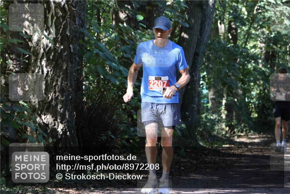 28.09.2025 - 33. Volkslauf durch das schöne Alstertal Strokosch-Dieckow http://msf.ph/oto/8972208 28.09.2025 12:31:30 Laufen 2207 meine-sportfotos.de