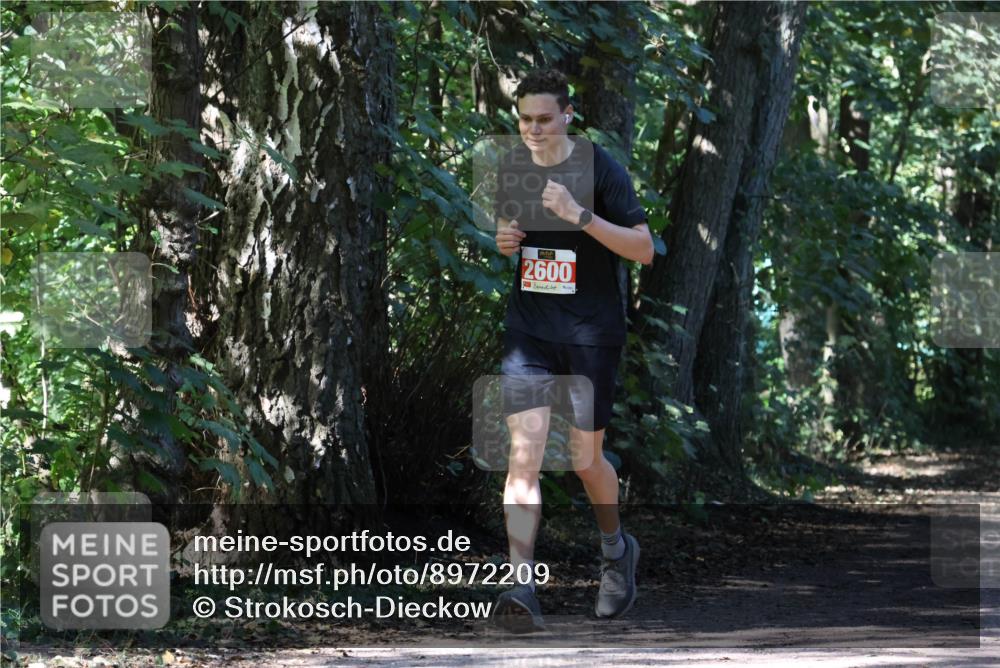 28.09.2025 - 33. Volkslauf durch das schöne Alstertal Strokosch-Dieckow http://msf.ph/oto/8972209 28.09.2025 12:31:37 Laufen 2600 meine-sportfotos.de