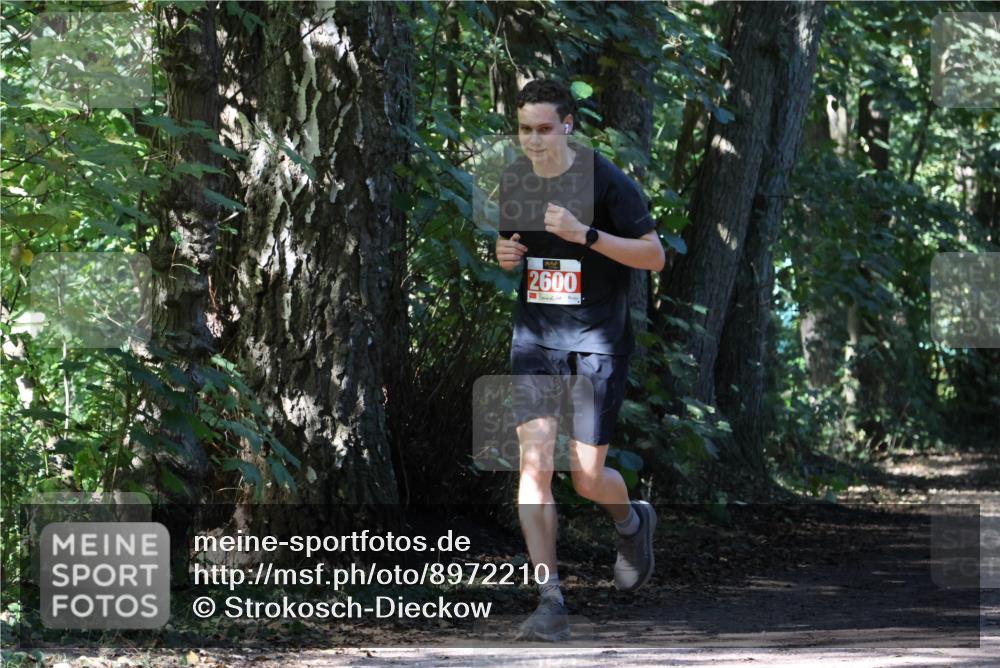 28.09.2025 - 33. Volkslauf durch das schöne Alstertal Strokosch-Dieckow http://msf.ph/oto/8972210 28.09.2025 12:31:37 Laufen 2600 meine-sportfotos.de