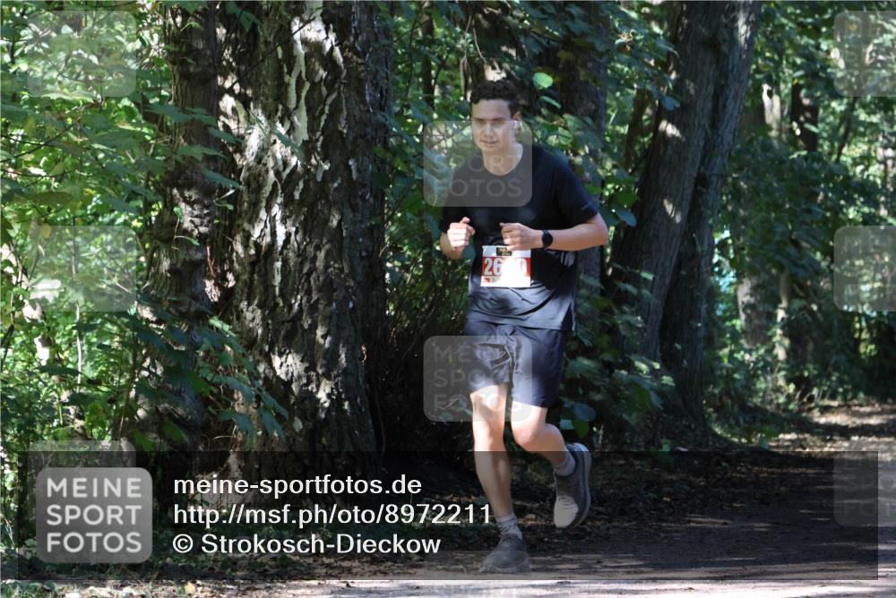 28.09.2025 - 33. Volkslauf durch das schöne Alstertal Strokosch-Dieckow http://msf.ph/oto/8972211 28.09.2025 12:31:37 Laufen 26, 0 meine-sportfotos.de
