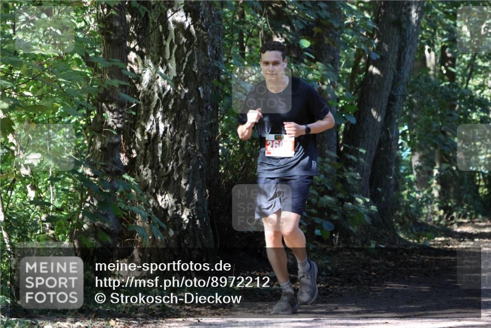 28.09.2025 - 33. Volkslauf durch das schöne Alstertal Strokosch-Dieckow http://msf.ph/oto/8972212 28.09.2025 12:31:37 Laufen 260 meine-sportfotos.de