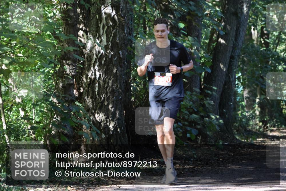 28.09.2025 - 33. Volkslauf durch das schöne Alstertal Strokosch-Dieckow http://msf.ph/oto/8972213 28.09.2025 12:31:37 Laufen 2000 meine-sportfotos.de