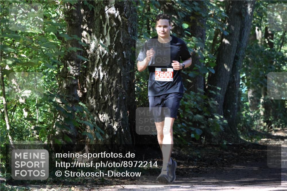 28.09.2025 - 33. Volkslauf durch das schöne Alstertal Strokosch-Dieckow http://msf.ph/oto/8972214 28.09.2025 12:31:37 Laufen 2600 meine-sportfotos.de