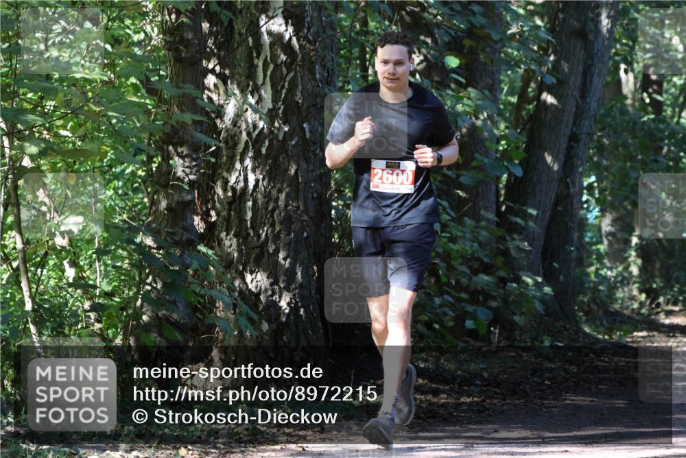 28.09.2025 - 33. Volkslauf durch das schöne Alstertal Strokosch-Dieckow http://msf.ph/oto/8972215 28.09.2025 12:31:38 Laufen 2600 meine-sportfotos.de