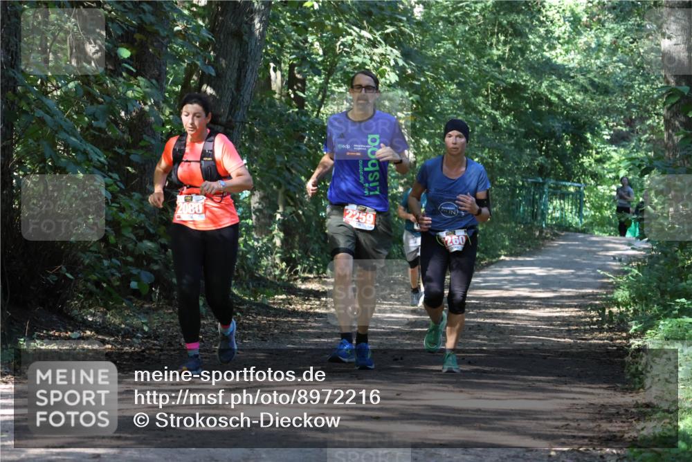 28.09.2025 - 33. Volkslauf durch das schöne Alstertal Strokosch-Dieckow http://msf.ph/oto/8972216 28.09.2025 12:31:44 Laufen  meine-sportfotos.de
