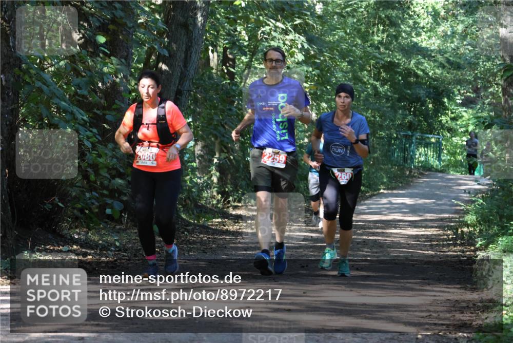 28.09.2025 - 33. Volkslauf durch das schöne Alstertal Strokosch-Dieckow http://msf.ph/oto/8972217 28.09.2025 12:31:44 Laufen 2080, 2259, 260 meine-sportfotos.de