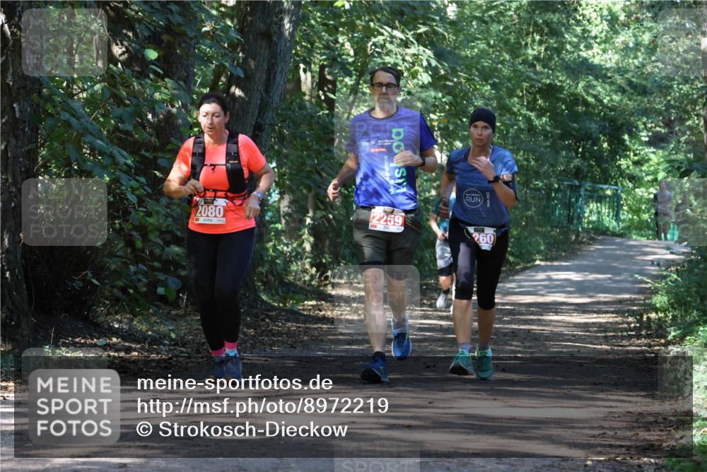 28.09.2025 - 33. Volkslauf durch das schöne Alstertal Strokosch-Dieckow http://msf.ph/oto/8972219 28.09.2025 12:31:44 Laufen 2080, 6, 15 meine-sportfotos.de