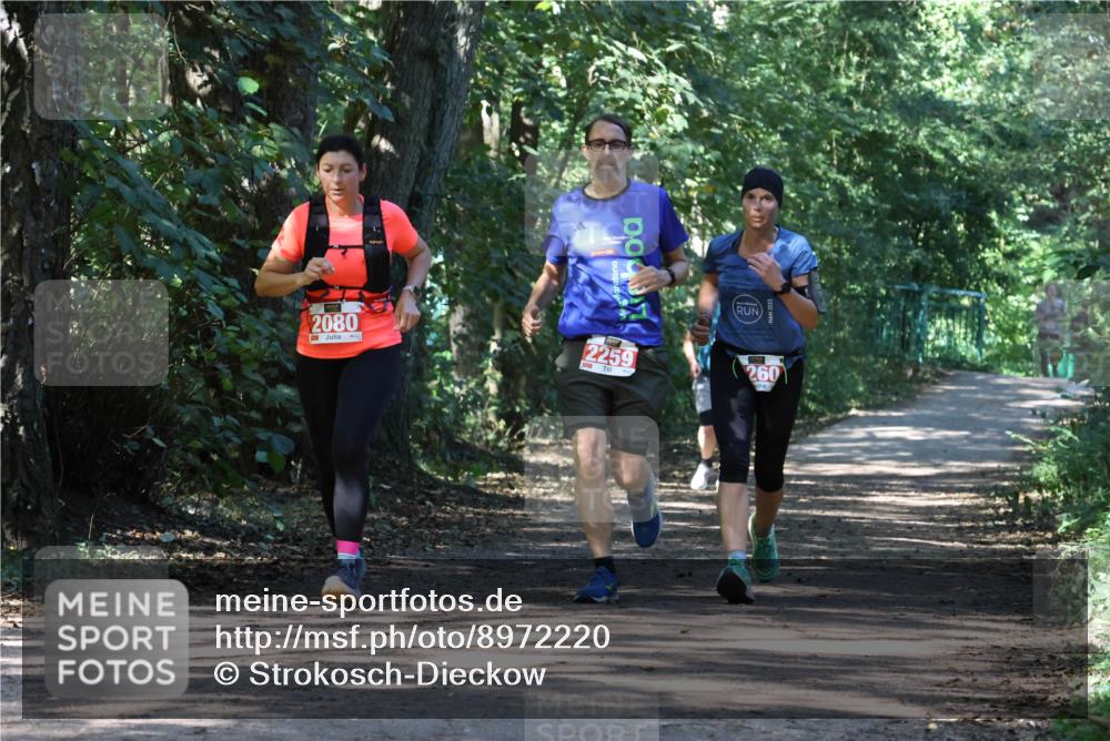 28.09.2025 - 33. Volkslauf durch das schöne Alstertal Strokosch-Dieckow http://msf.ph/oto/8972220 28.09.2025 12:31:44 Laufen 2080, 2259, 260, 2023 meine-sportfotos.de