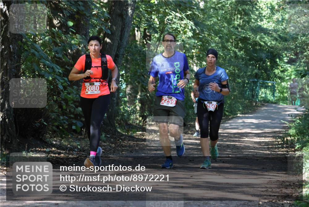 28.09.2025 - 33. Volkslauf durch das schöne Alstertal Strokosch-Dieckow http://msf.ph/oto/8972221 28.09.2025 12:31:44 Laufen 2080, 2259, 260 meine-sportfotos.de