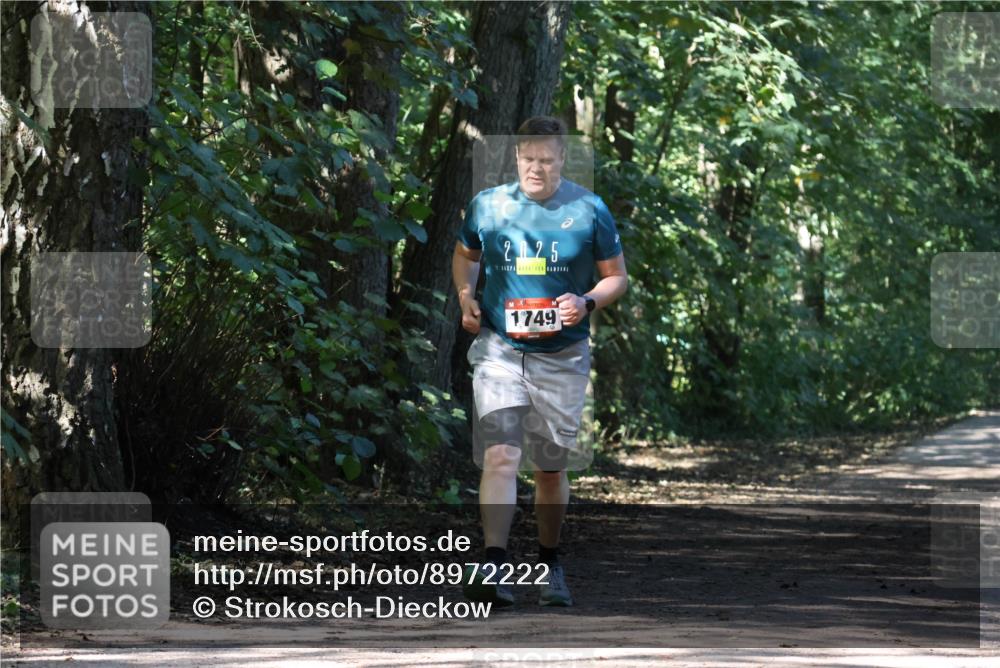 28.09.2025 - 33. Volkslauf durch das schöne Alstertal Strokosch-Dieckow http://msf.ph/oto/8972222 28.09.2025 12:31:54 Laufen 2025, 1749 meine-sportfotos.de