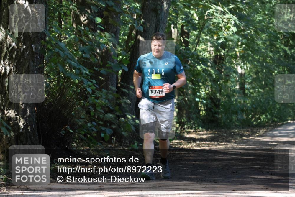 28.09.2025 - 33. Volkslauf durch das schöne Alstertal Strokosch-Dieckow http://msf.ph/oto/8972223 28.09.2025 12:31:54 Laufen 2025, 1749 meine-sportfotos.de