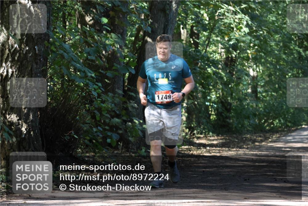 28.09.2025 - 33. Volkslauf durch das schöne Alstertal Strokosch-Dieckow http://msf.ph/oto/8972224 28.09.2025 12:31:54 Laufen 2025, 1749 meine-sportfotos.de