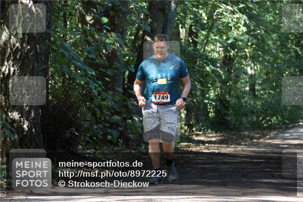 28.09.2025 - 33. Volkslauf durch das schöne Alstertal Strokosch-Dieckow http://msf.ph/oto/8972225 28.09.2025 12:31:54 Laufen 2025, 1749 meine-sportfotos.de