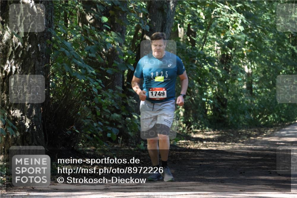 28.09.2025 - 33. Volkslauf durch das schöne Alstertal Strokosch-Dieckow http://msf.ph/oto/8972226 28.09.2025 12:31:54 Laufen 2025, 1749 meine-sportfotos.de