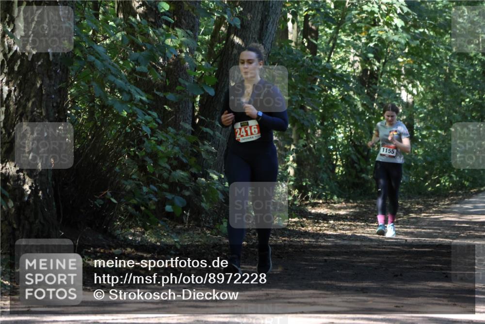 28.09.2025 - 33. Volkslauf durch das schöne Alstertal Strokosch-Dieckow http://msf.ph/oto/8972228 28.09.2025 12:32:10 Laufen 2416, 1155 meine-sportfotos.de
