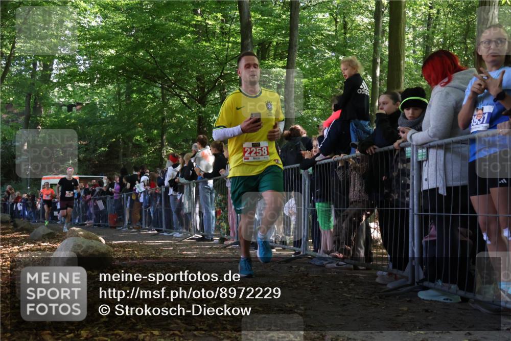 28.09.2025 - 33. Volkslauf durch das schöne Alstertal Strokosch-Dieckow http://msf.ph/oto/8972229 28.09.2025 11:54:58 Ziel 2161, 2258, 2406 meine-sportfotos.de
