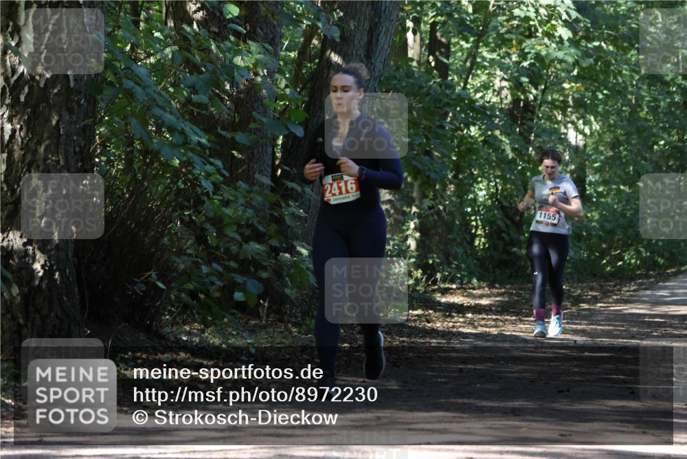 28.09.2025 - 33. Volkslauf durch das schöne Alstertal Strokosch-Dieckow http://msf.ph/oto/8972230 28.09.2025 12:32:10 Laufen 2416, 1155 meine-sportfotos.de