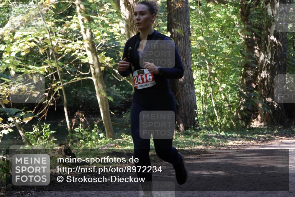 28.09.2025 - 33. Volkslauf durch das schöne Alstertal Strokosch-Dieckow http://msf.ph/oto/8972234 28.09.2025 12:32:15 Laufen 2416 meine-sportfotos.de