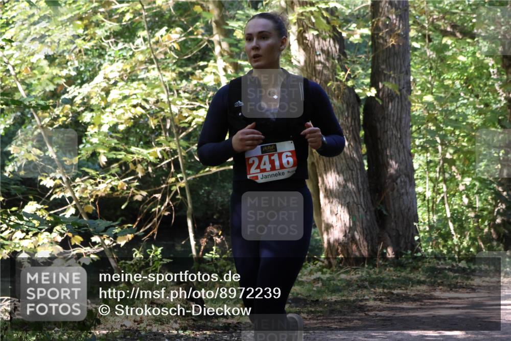 28.09.2025 - 33. Volkslauf durch das schöne Alstertal Strokosch-Dieckow http://msf.ph/oto/8972239 28.09.2025 12:32:15 Laufen 2416 meine-sportfotos.de