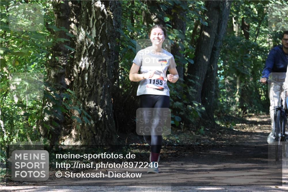 28.09.2025 - 33. Volkslauf durch das schöne Alstertal Strokosch-Dieckow http://msf.ph/oto/8972240 28.09.2025 12:32:20 Laufen 1155 meine-sportfotos.de