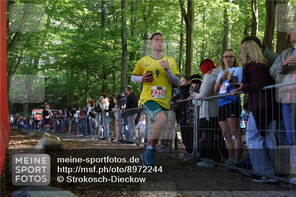 28.09.2025 - 33. Volkslauf durch das schöne Alstertal Strokosch-Dieckow http://msf.ph/oto/8972244 28.09.2025 11:54:58 Ziel 2161, 2258, 2406 meine-sportfotos.de