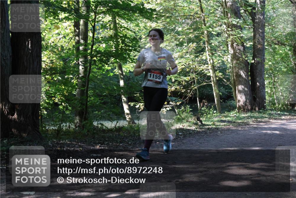 28.09.2025 - 33. Volkslauf durch das schöne Alstertal Strokosch-Dieckow http://msf.ph/oto/8972248 28.09.2025 12:32:26 Laufen 1155 meine-sportfotos.de