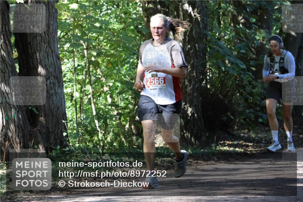 28.09.2025 - 33. Volkslauf durch das schöne Alstertal Strokosch-Dieckow http://msf.ph/oto/8972252 28.09.2025 12:32:30 Laufen 2566 meine-sportfotos.de