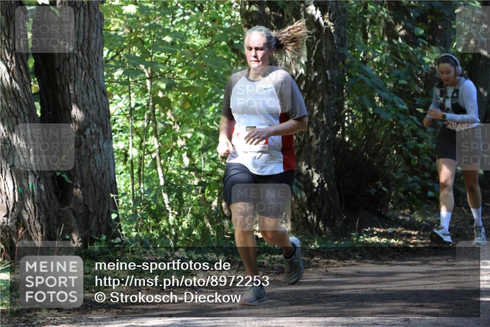 28.09.2025 - 33. Volkslauf durch das schöne Alstertal Strokosch-Dieckow http://msf.ph/oto/8972253 28.09.2025 12:32:30 Laufen 2629 meine-sportfotos.de