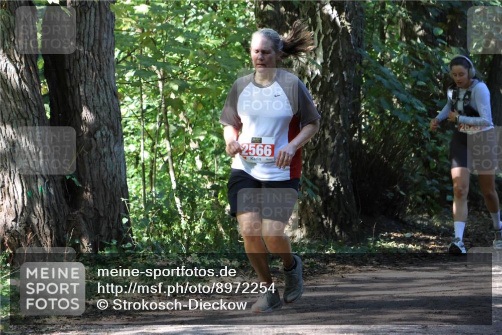 28.09.2025 - 33. Volkslauf durch das schöne Alstertal Strokosch-Dieckow http://msf.ph/oto/8972254 28.09.2025 12:32:30 Laufen 2566, 262 meine-sportfotos.de