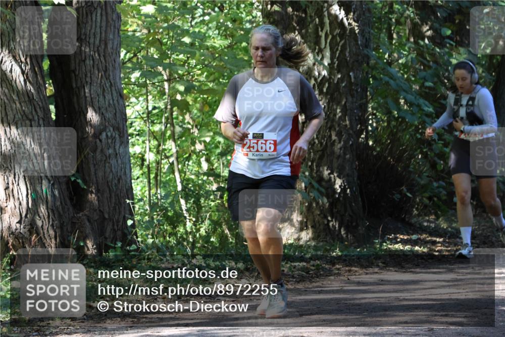 28.09.2025 - 33. Volkslauf durch das schöne Alstertal Strokosch-Dieckow http://msf.ph/oto/8972255 28.09.2025 12:32:30 Laufen 2566 meine-sportfotos.de