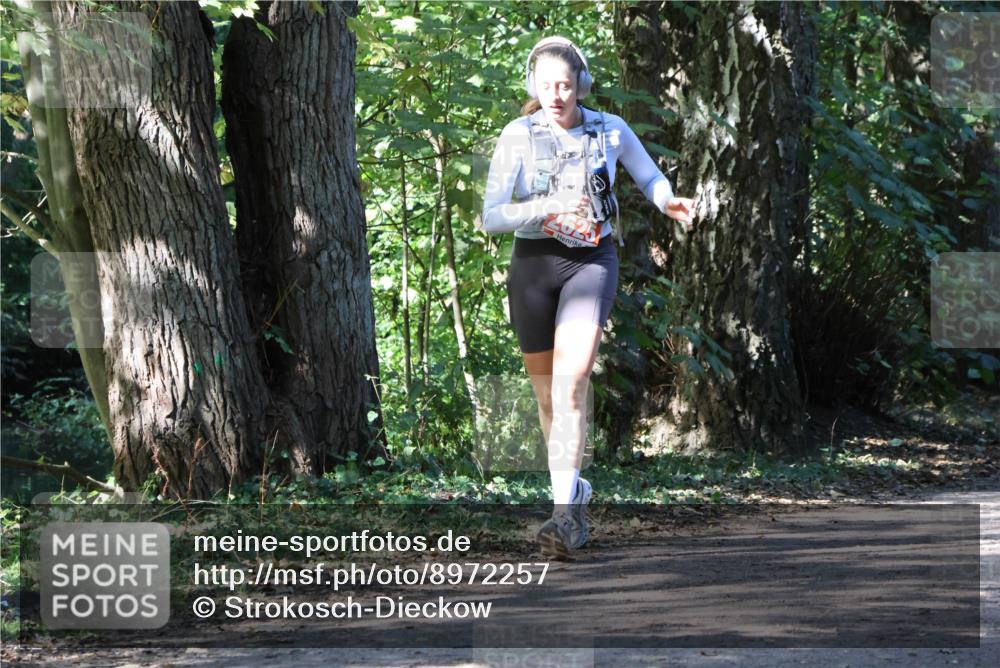 28.09.2025 - 33. Volkslauf durch das schöne Alstertal Strokosch-Dieckow http://msf.ph/oto/8972257 28.09.2025 12:32:33 Laufen  meine-sportfotos.de