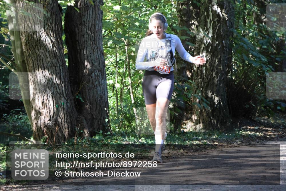 28.09.2025 - 33. Volkslauf durch das schöne Alstertal Strokosch-Dieckow http://msf.ph/oto/8972258 28.09.2025 12:32:33 Laufen 625 meine-sportfotos.de