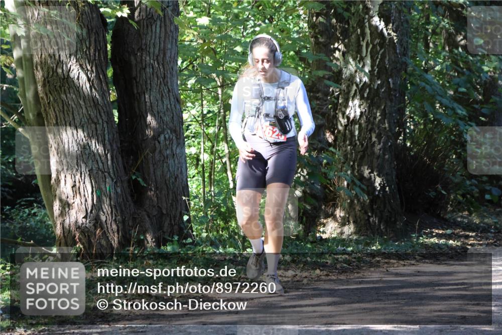 28.09.2025 - 33. Volkslauf durch das schöne Alstertal Strokosch-Dieckow http://msf.ph/oto/8972260 28.09.2025 12:32:33 Laufen 62 meine-sportfotos.de