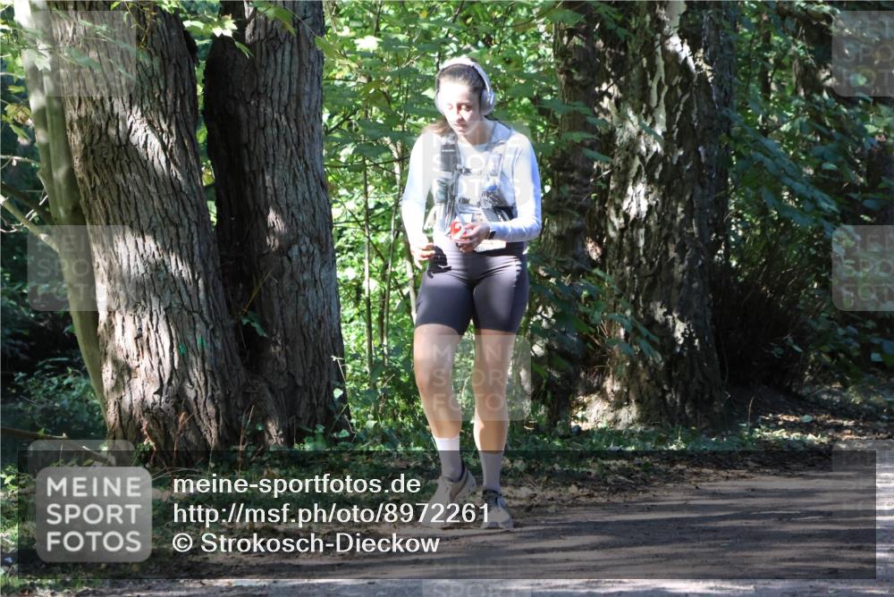 28.09.2025 - 33. Volkslauf durch das schöne Alstertal Strokosch-Dieckow http://msf.ph/oto/8972261 28.09.2025 12:32:33 Laufen  meine-sportfotos.de