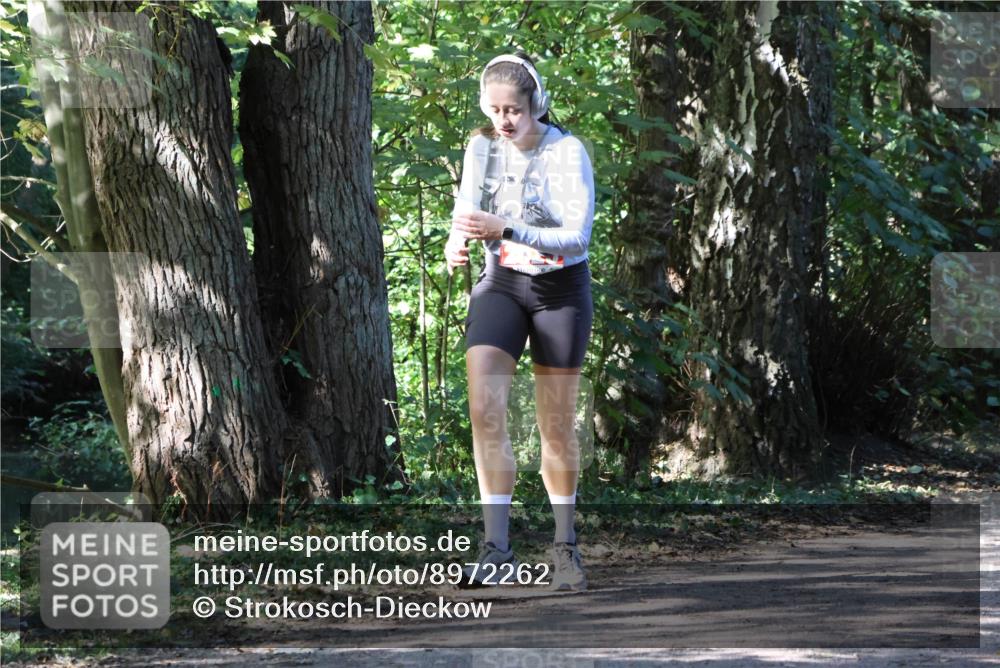 28.09.2025 - 33. Volkslauf durch das schöne Alstertal Strokosch-Dieckow http://msf.ph/oto/8972262 28.09.2025 12:32:33 Laufen  meine-sportfotos.de