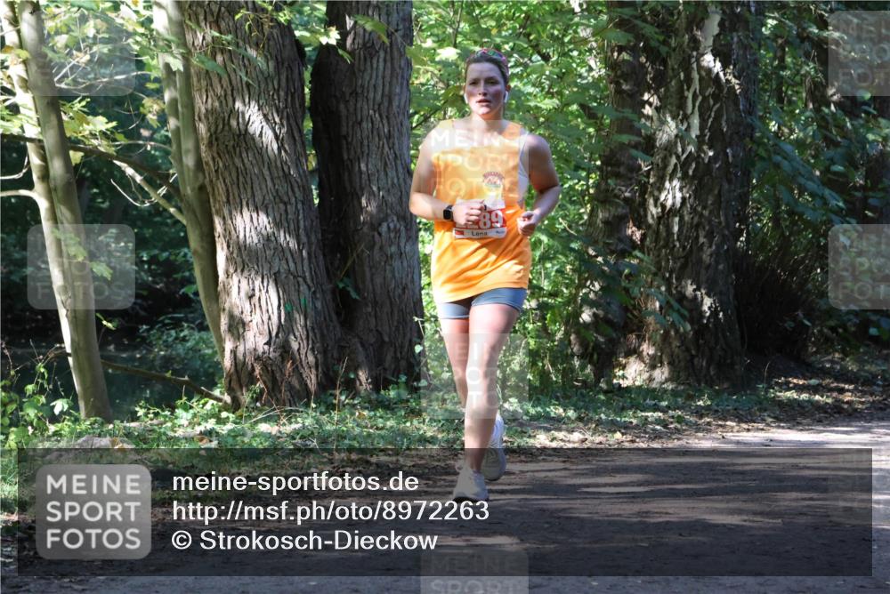 28.09.2025 - 33. Volkslauf durch das schöne Alstertal Strokosch-Dieckow http://msf.ph/oto/8972263 28.09.2025 12:32:38 Laufen  meine-sportfotos.de