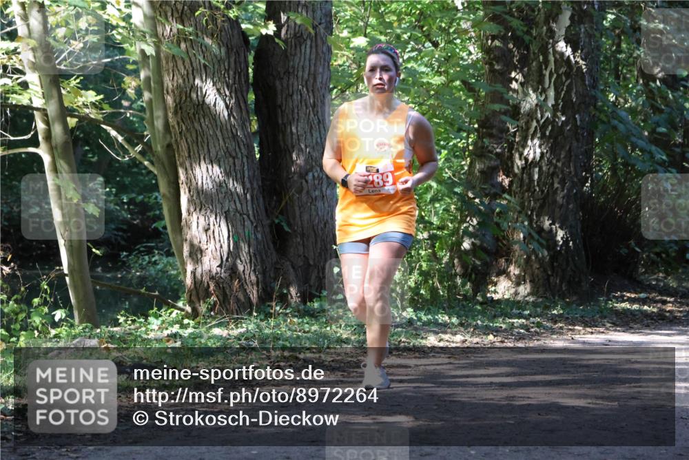 28.09.2025 - 33. Volkslauf durch das schöne Alstertal Strokosch-Dieckow http://msf.ph/oto/8972264 28.09.2025 12:32:38 Laufen 289 meine-sportfotos.de